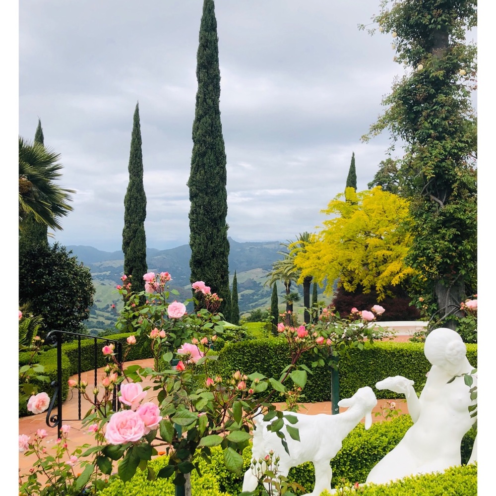 Meet your Posher, Adriana